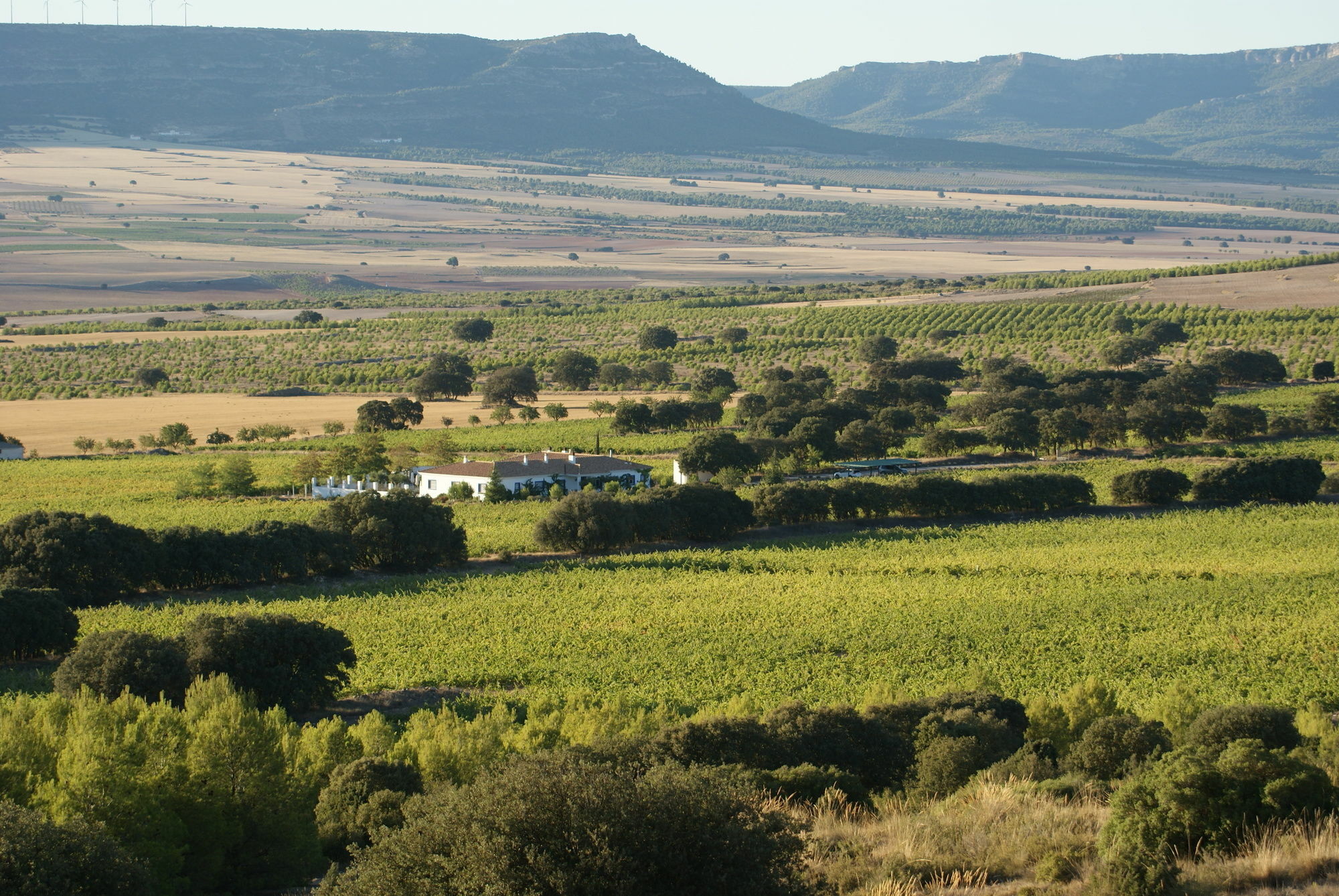 Finca El Romeral Alpera Exterior photo